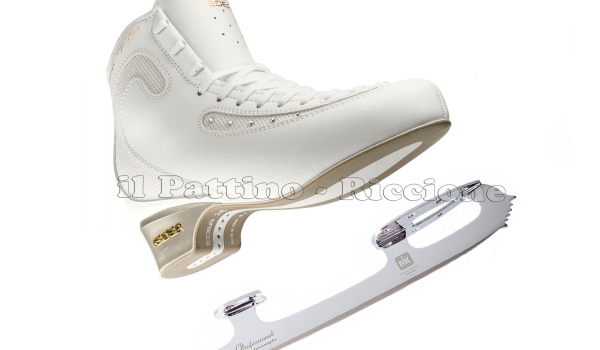 _data_prod_img_edea_ice_fly_la 